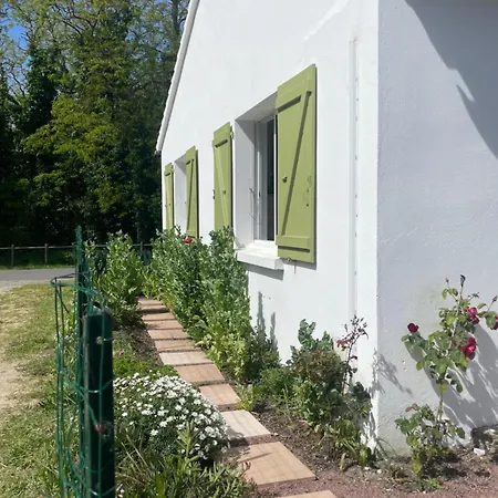 La Maison Des Pins Vakantiehuis