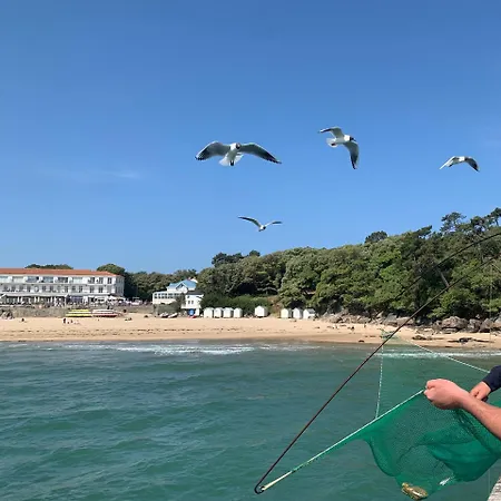 La Maison Des Pins Vakantiehuis *